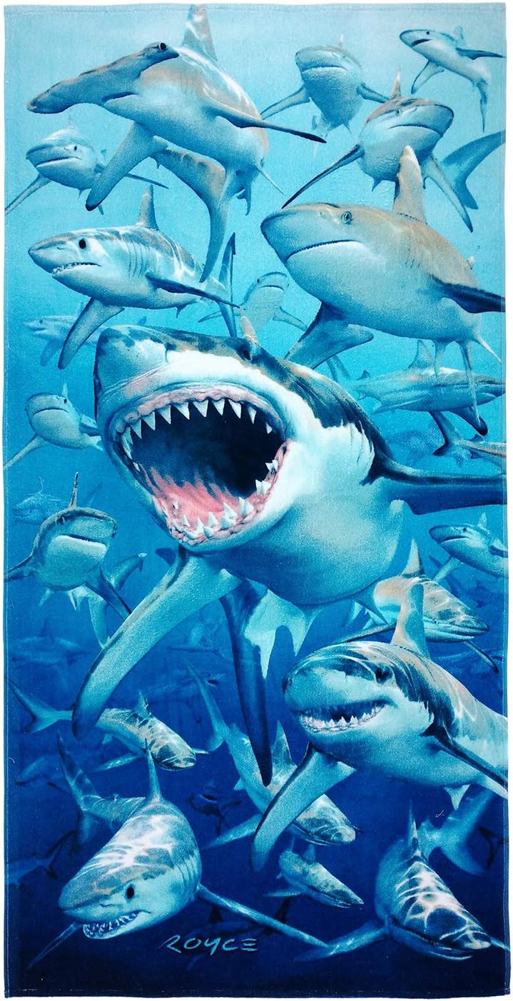 Printed Velour Beach Towels (2-Pack)