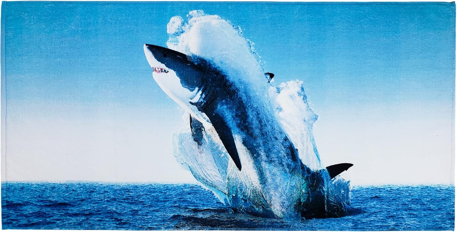 Printed Velour Beach Towels (2-Pack)